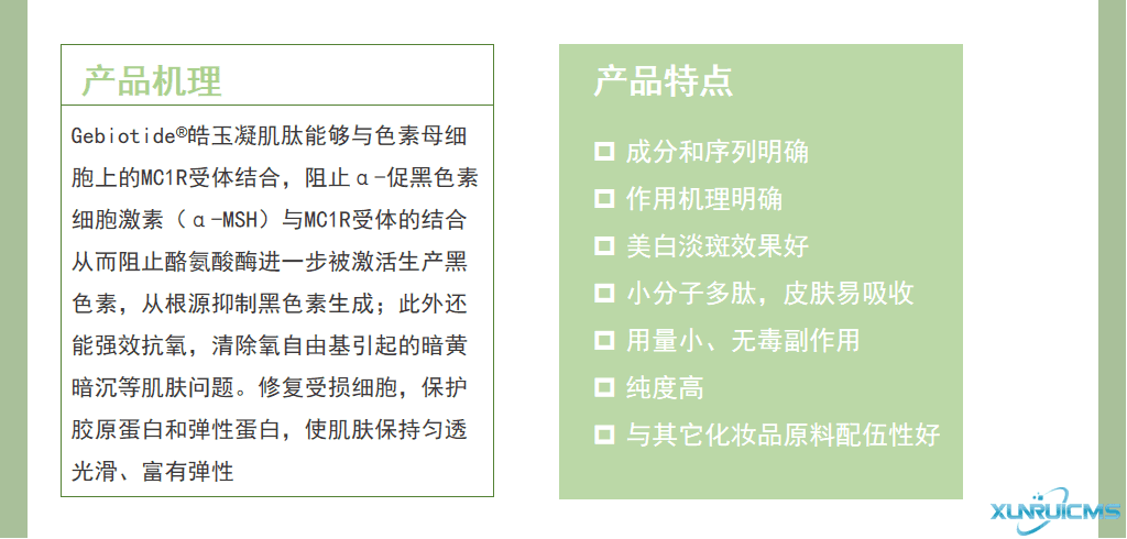 微信圖片_20241024172041